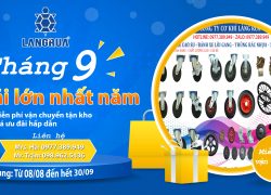 Ưu đãi khi mua bánh xe làng rùa